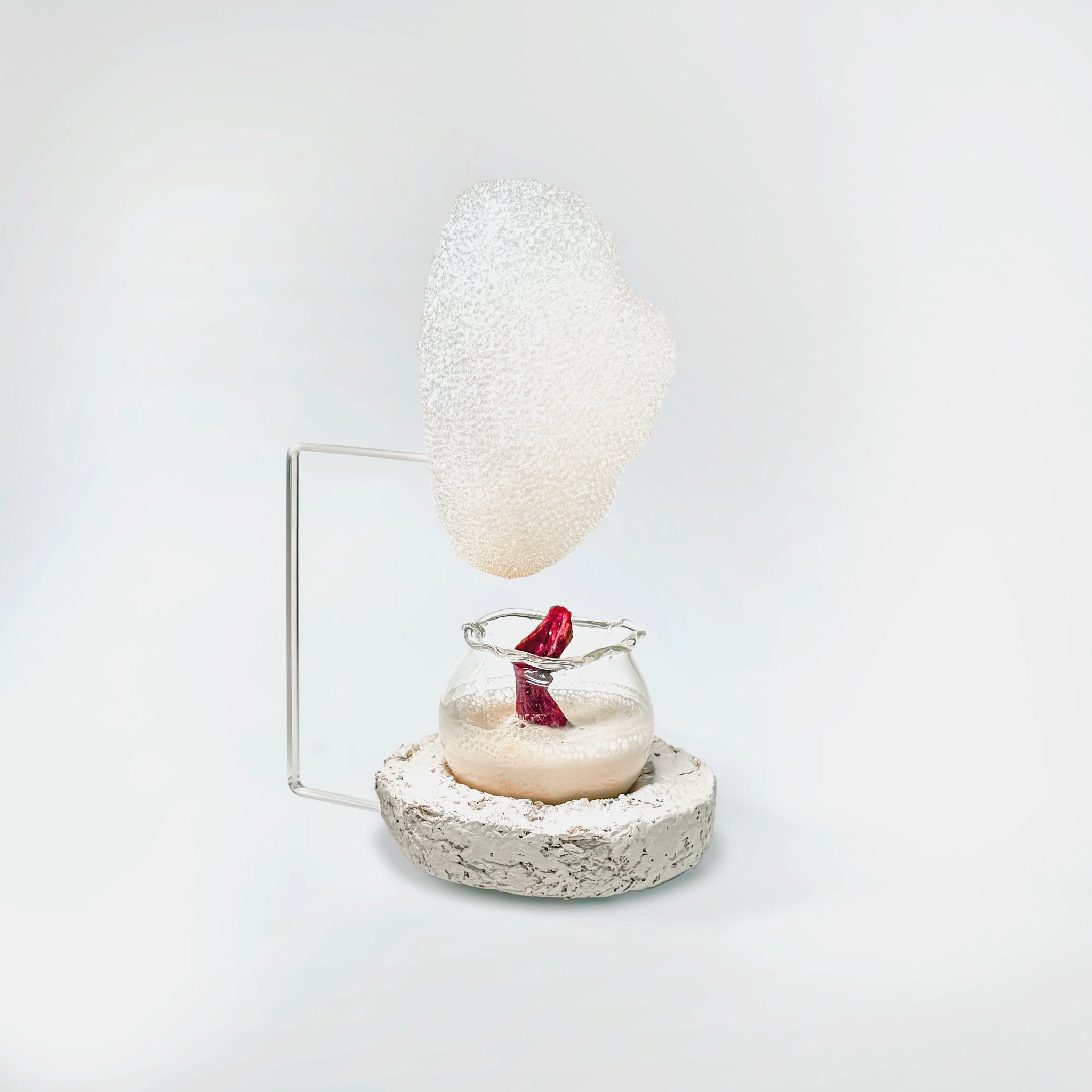 Food Holders Transparent - Plat Institute