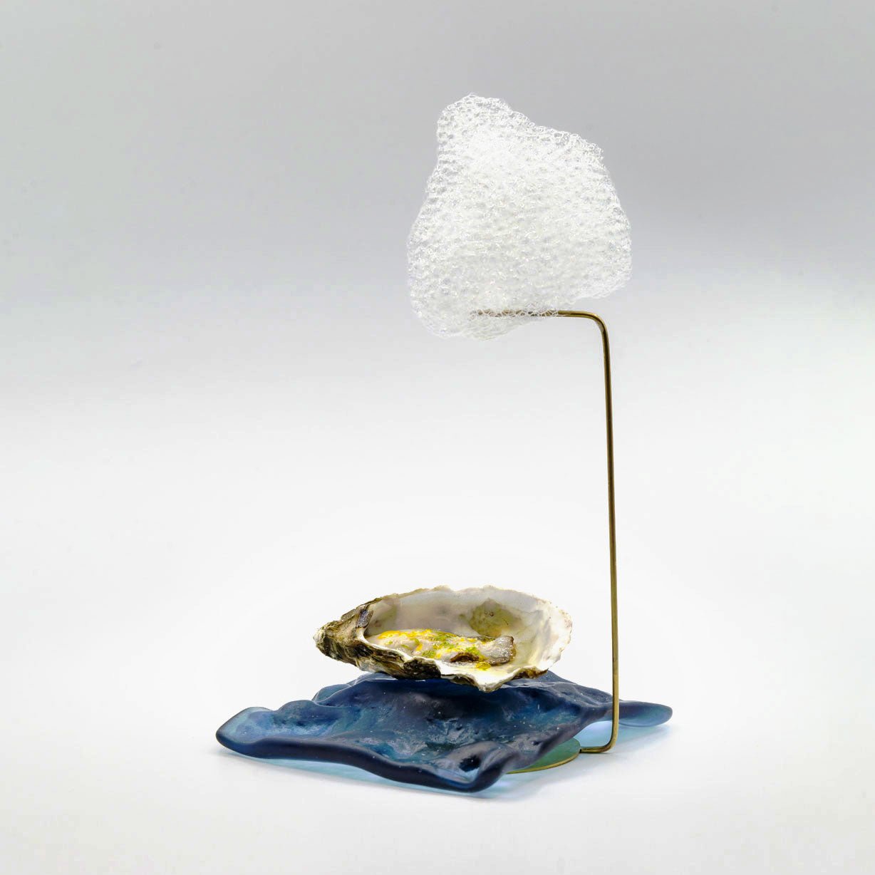 VOM Pro Kit — professional edible cloud kit for fine dining
